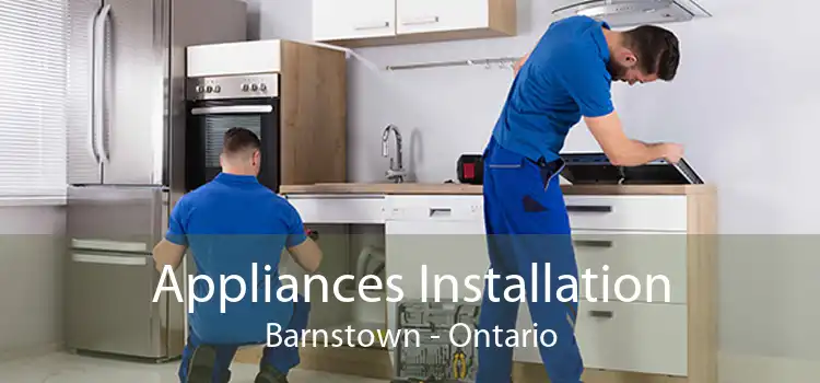 Appliances Installation Barnstown - Ontario