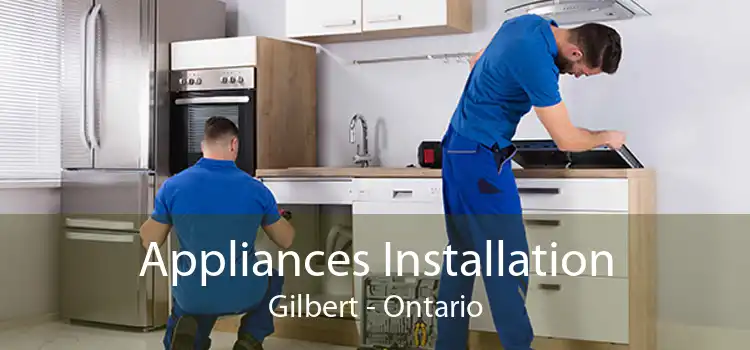 Appliances Installation Gilbert - Ontario