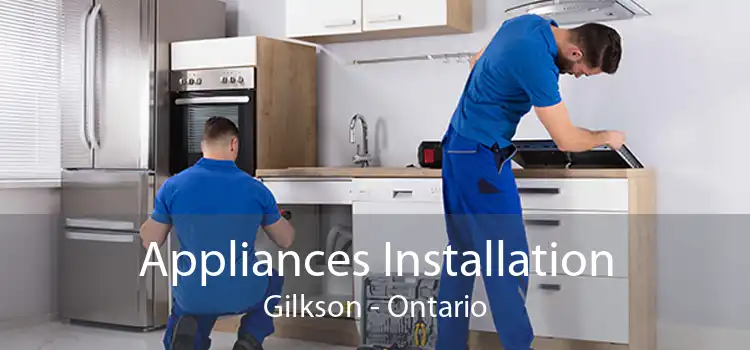 Appliances Installation Gilkson - Ontario