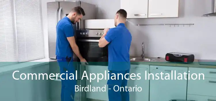 Commercial Appliances Installation Birdland - Ontario