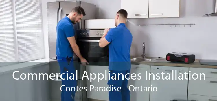 Commercial Appliances Installation Cootes Paradise - Ontario
