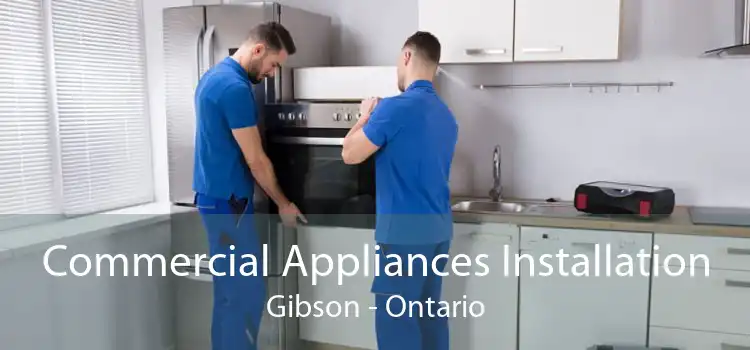 Commercial Appliances Installation Gibson - Ontario