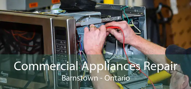Commercial Appliances Repair Barnstown - Ontario