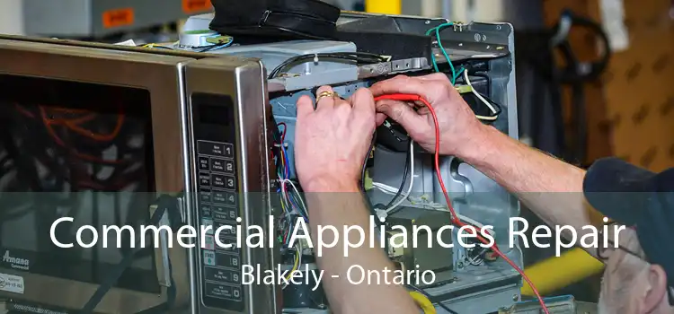 Commercial Appliances Repair Blakely - Ontario