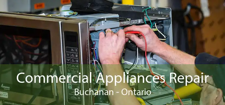 Commercial Appliances Repair Buchanan - Ontario