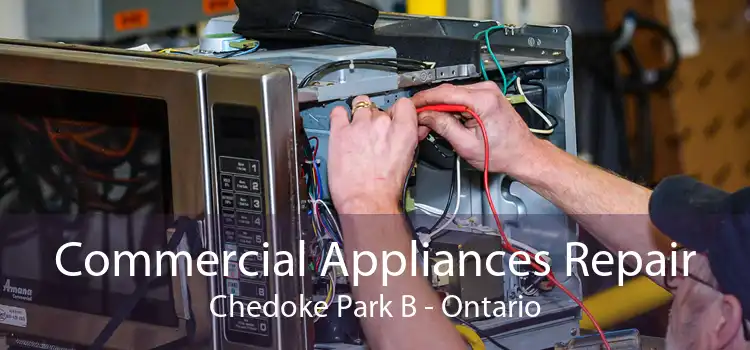 Commercial Appliances Repair Chedoke Park B - Ontario