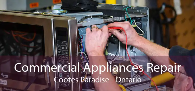 Commercial Appliances Repair Cootes Paradise - Ontario