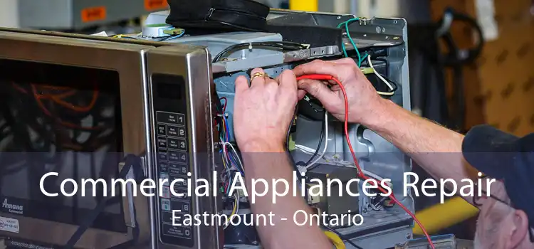 Commercial Appliances Repair Eastmount - Ontario