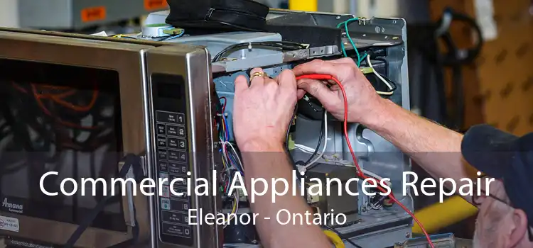 Commercial Appliances Repair Eleanor - Ontario