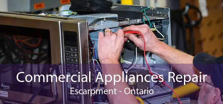 Commercial Appliances Repair Escarpment - Ontario