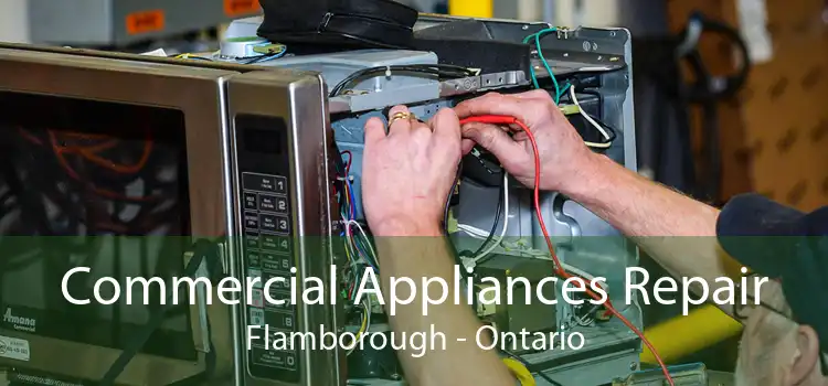 Commercial Appliances Repair Flamborough - Ontario