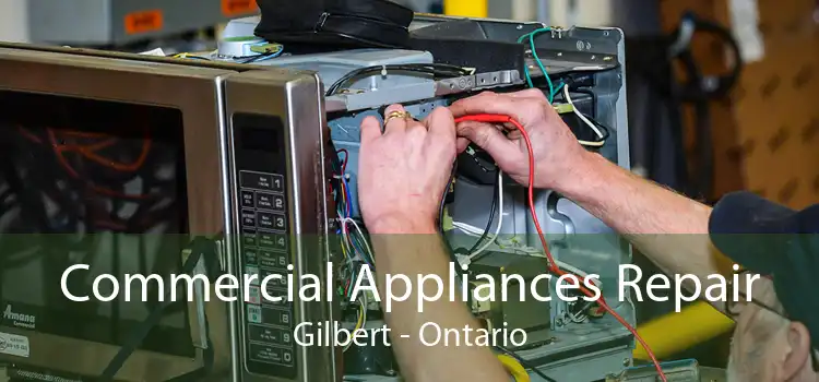 Commercial Appliances Repair Gilbert - Ontario