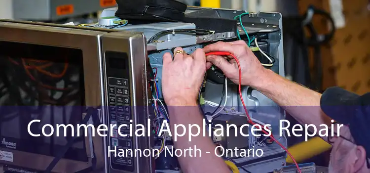 Commercial Appliances Repair Hannon North - Ontario