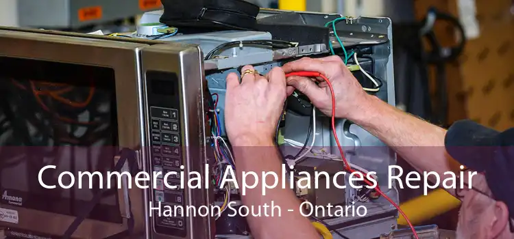 Commercial Appliances Repair Hannon South - Ontario