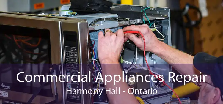 Commercial Appliances Repair Harmony Hall - Ontario