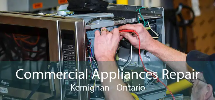 Commercial Appliances Repair Kernighan - Ontario