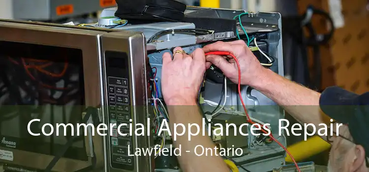 Commercial Appliances Repair Lawfield - Ontario