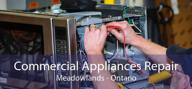 Commercial Appliances Repair Meadowlands - Ontario