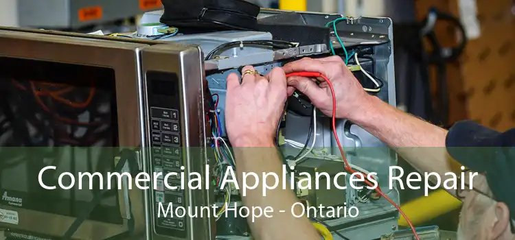 Commercial Appliances Repair Mount Hope - Ontario