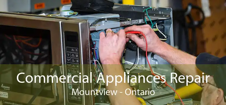 Commercial Appliances Repair Mountview - Ontario