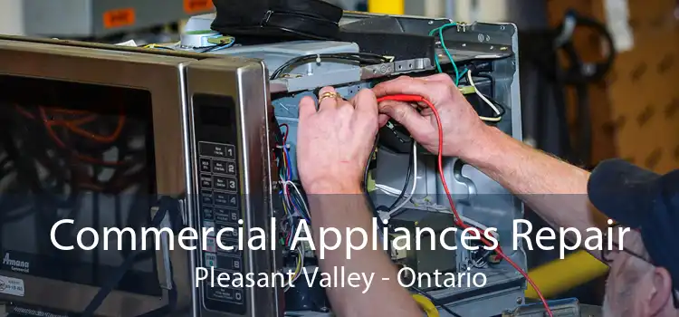Commercial Appliances Repair Pleasant Valley - Ontario