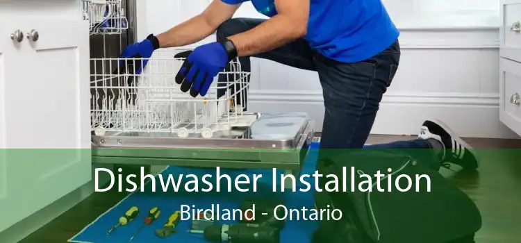 Dishwasher Installation Birdland - Ontario