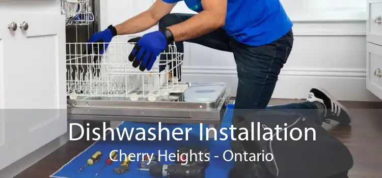 Dishwasher Installation Cherry Heights - Ontario