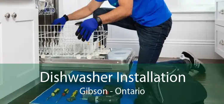 Dishwasher Installation Gibson - Ontario