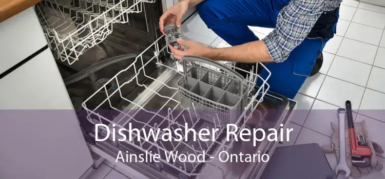 Dishwasher Repair Ainslie Wood - Ontario