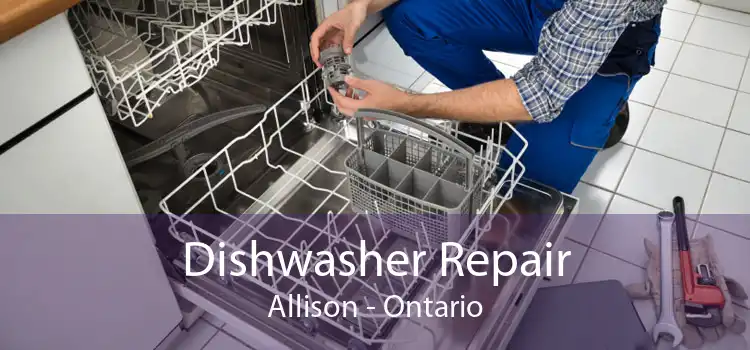 Dishwasher Repair Allison - Ontario