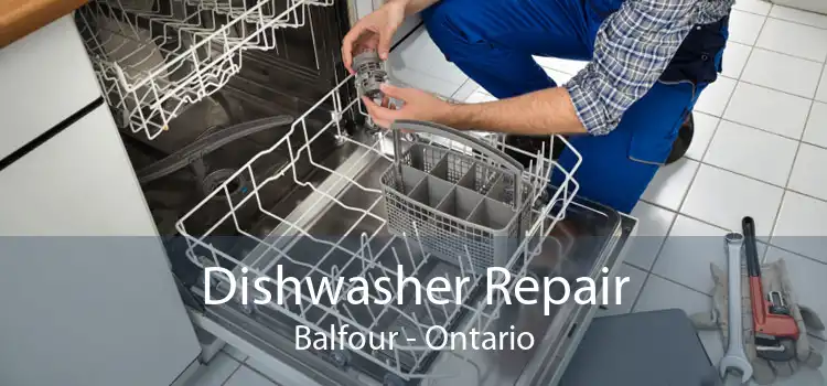 Dishwasher Repair Balfour - Ontario