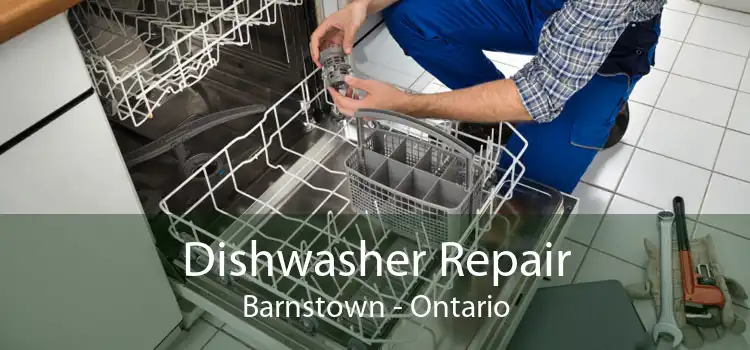 Dishwasher Repair Barnstown - Ontario