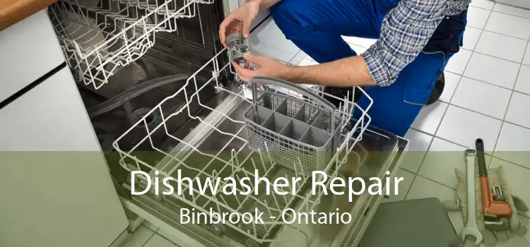 Dishwasher Repair Binbrook - Ontario