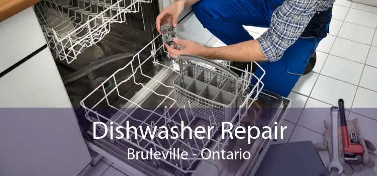 Dishwasher Repair Bruleville - Ontario