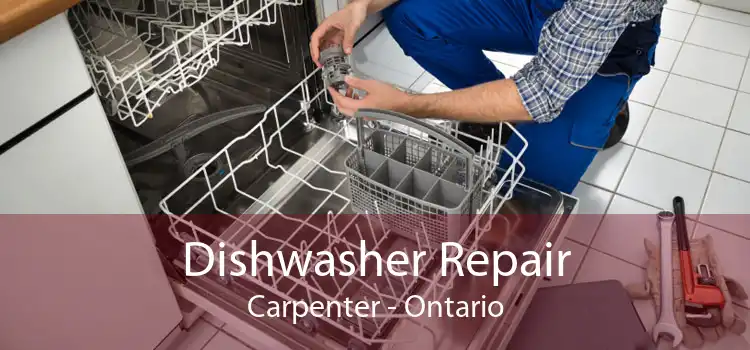 Dishwasher Repair Carpenter - Ontario