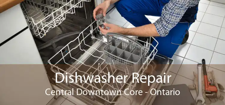 Dishwasher Repair Central Downtown Core - Ontario