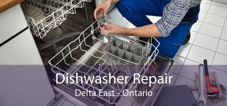 Dishwasher Repair Delta East - Ontario
