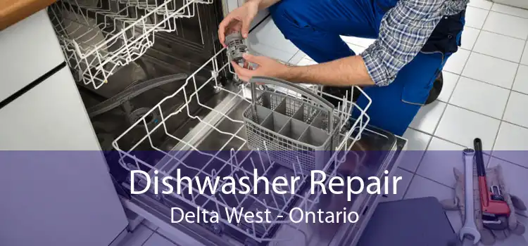 Dishwasher Repair Delta West - Ontario