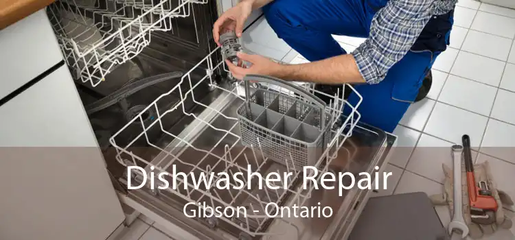 Dishwasher Repair Gibson - Ontario