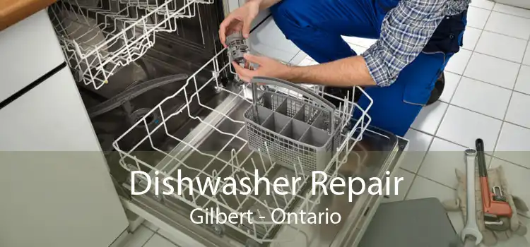 Dishwasher Repair Gilbert - Ontario