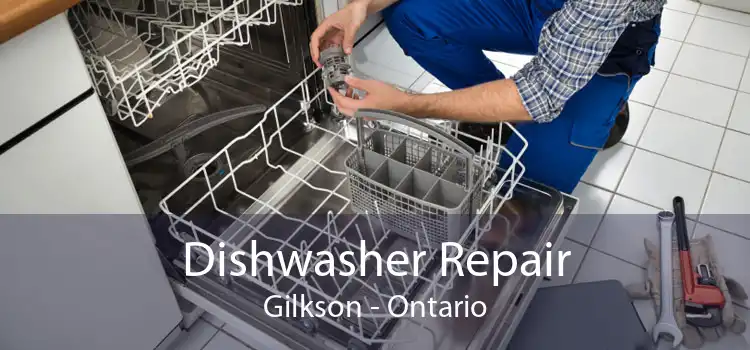 Dishwasher Repair Gilkson - Ontario