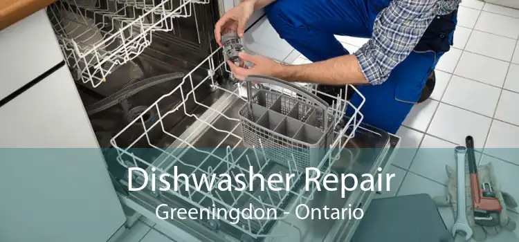 Dishwasher Repair Greeningdon - Ontario