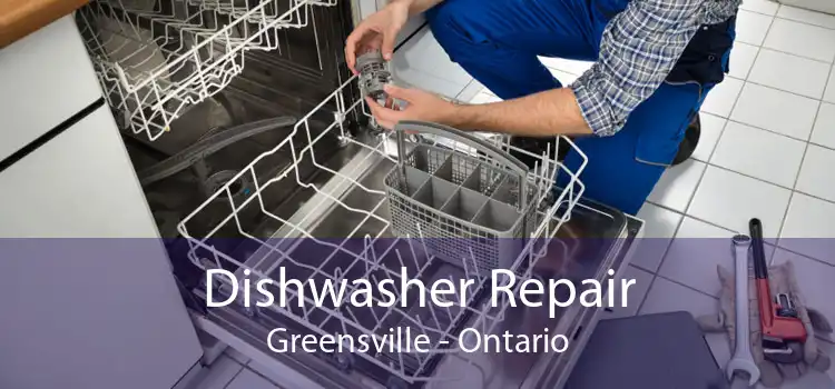 Dishwasher Repair Greensville - Ontario