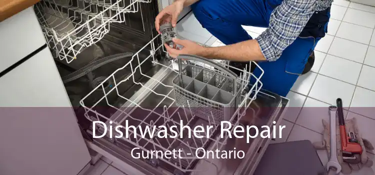 Dishwasher Repair Gurnett - Ontario