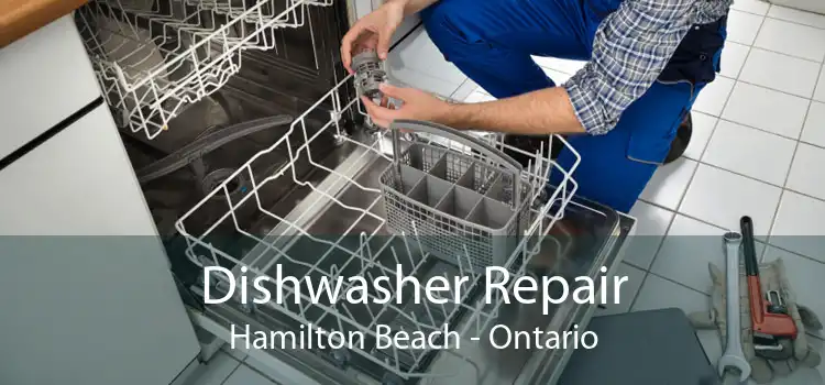 Dishwasher Repair Hamilton Beach - Ontario