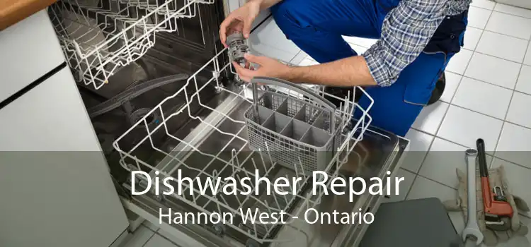 Dishwasher Repair Hannon West - Ontario
