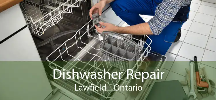 Dishwasher Repair Lawfield - Ontario