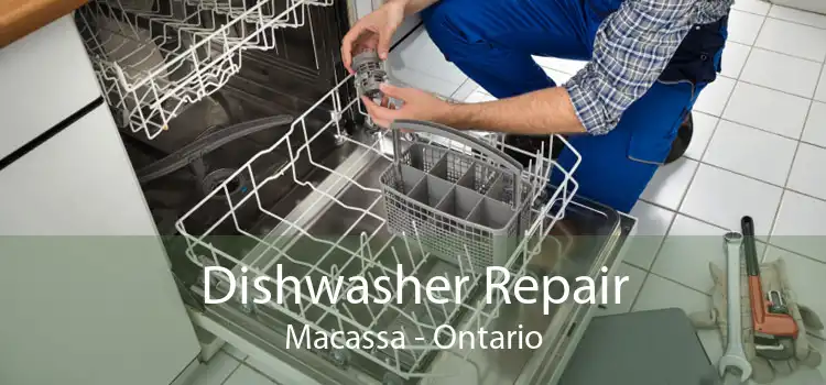 Dishwasher Repair Macassa - Ontario