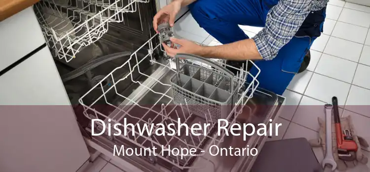Dishwasher Repair Mount Hope - Ontario