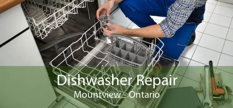 Dishwasher Repair Mountview - Ontario